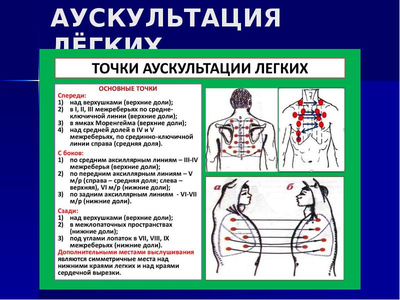 Дыхательная система пропедевтика детских болезней презентация