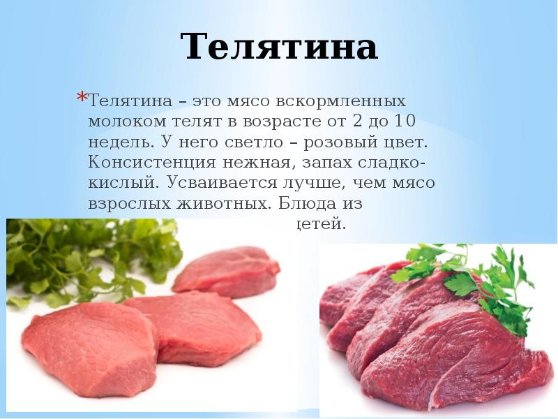 Проект о мясе