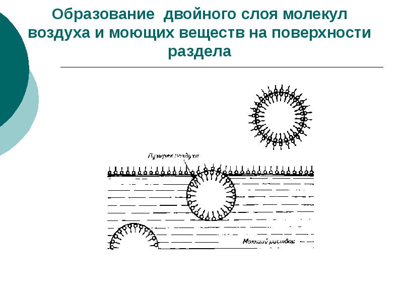 Двойное образование