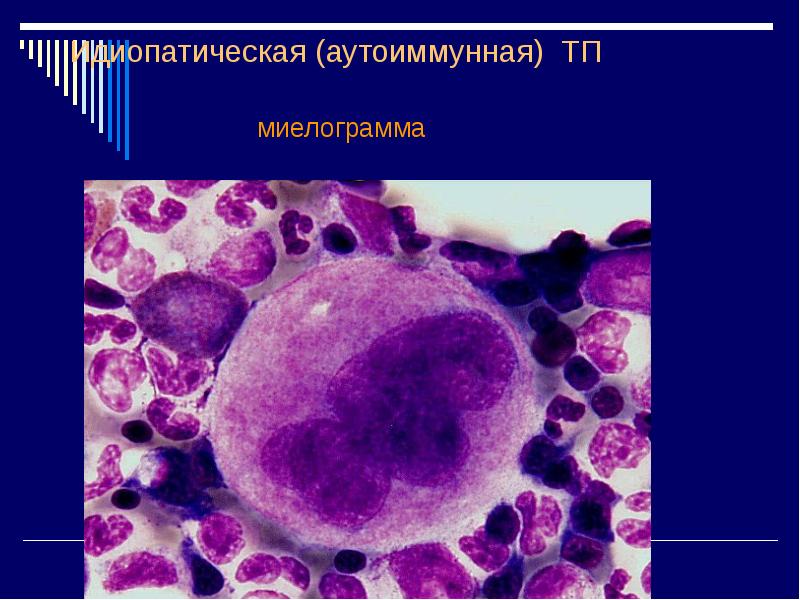 Геморрагические диатезы презентация