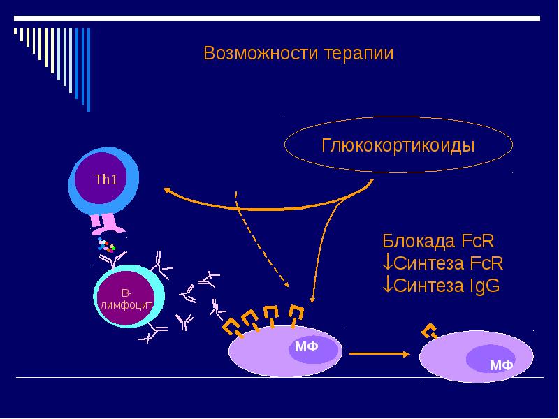 Возможности лечение. Антифосфолипидный синдром патофизиология. Белок-белковые взаимодействия. Взаимодействие белок белок. Белок-белковые взаимодействия ферментов.