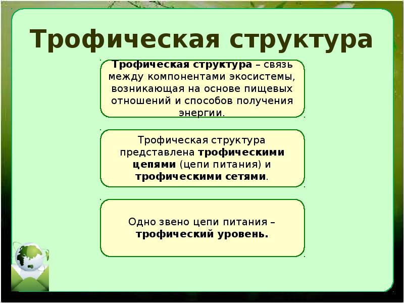 Трофические связи презентация