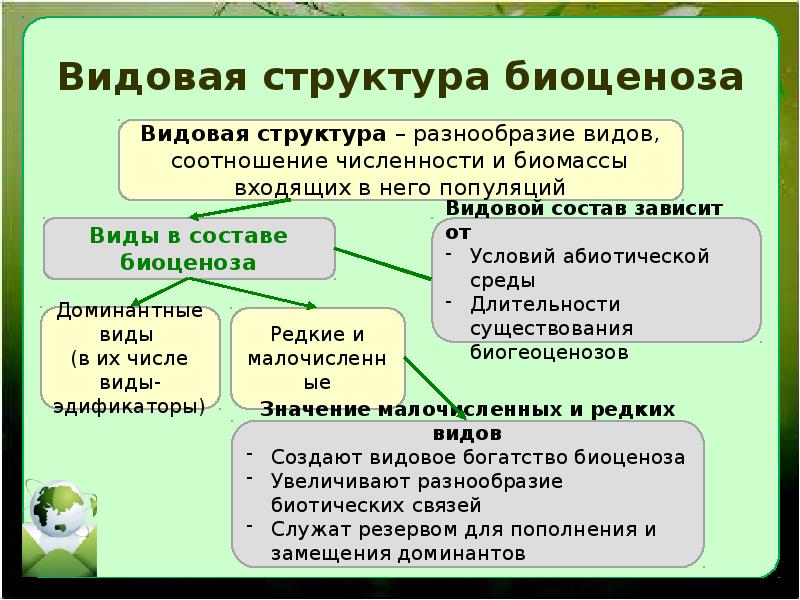 Виды видового состава. Видовая структура биоценоза. Видова я структура биоценозая. Видовая структура сообщества. Видовая структура биогеоценоза.