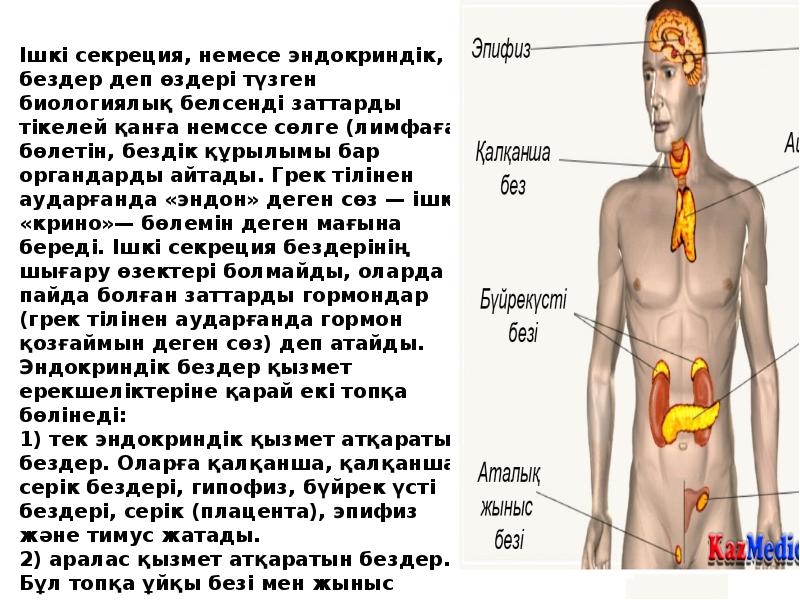 Ішкі секреция бездерінің