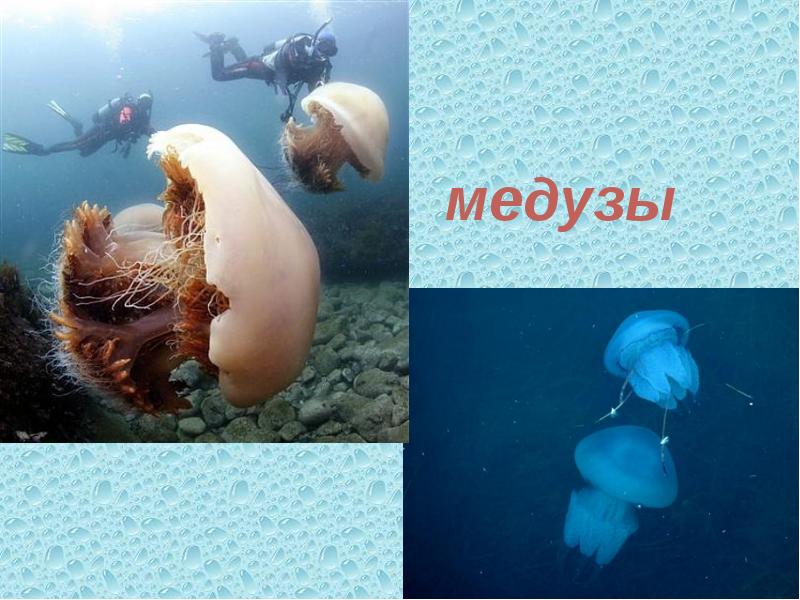 4 класс у черного моря презентация