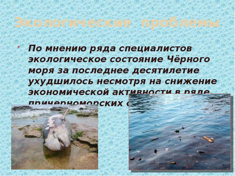 Проблемы черного моря. Статистики экологического состояния черного моря. Текст экологические проблемы у черного моря. Экологические проблемы черного моря ловить животных. Чёрное море Флора фауна экологическое состоянние.