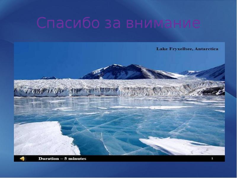 Жизнь человека в антарктиде проект 7 класс