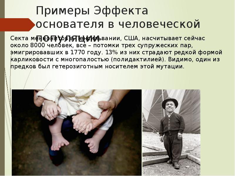 Примеры Эффекта основателя в человеческой популяции Примеры Эффекта основателя в человеческой популяции