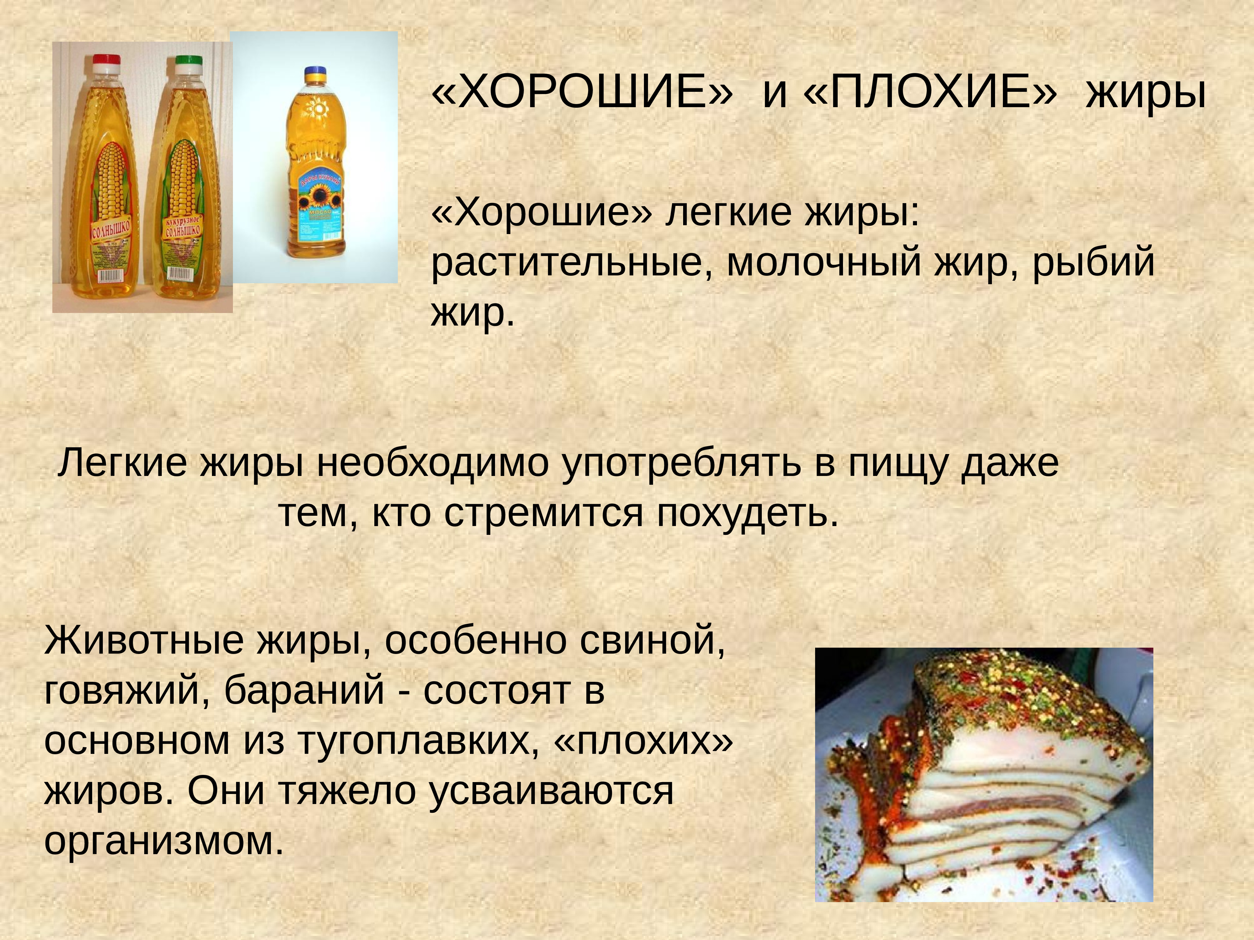 Проект жиры как продукт питания и химическое сырье