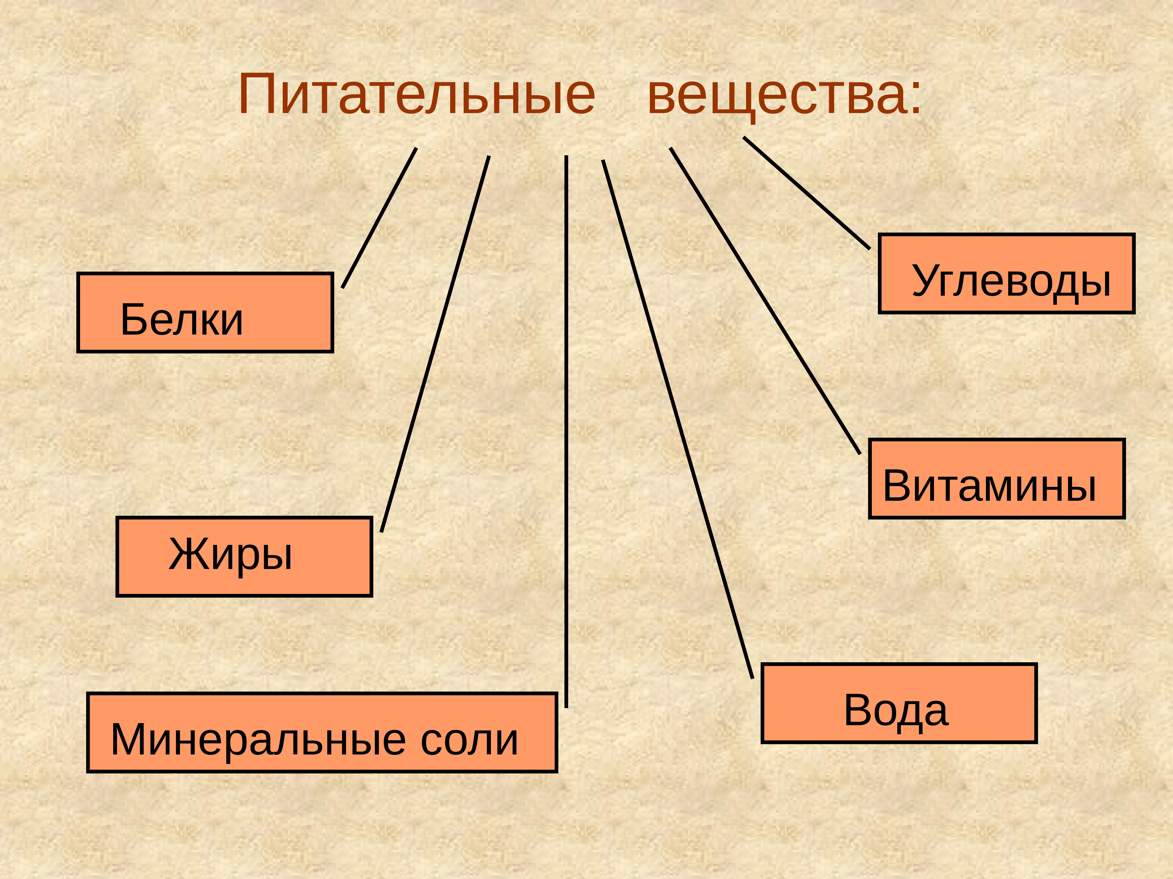 Питательные вещества. Пищевые питательные вещества. Питательные вещества этт. Питательные вещества это в биологии.