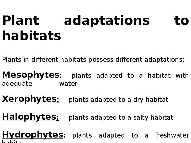 Plant habitat