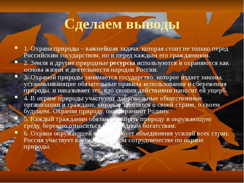 Закон на страже природы презентация 7 класс обществознание конспект