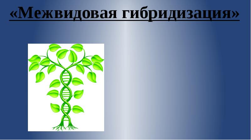 Гибридизация биология презентация 10 класс