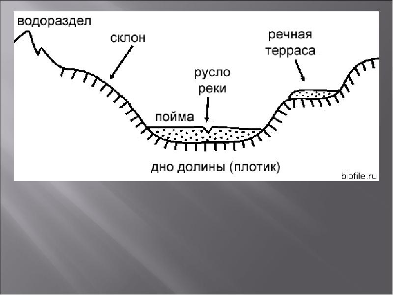 Русло реки схема