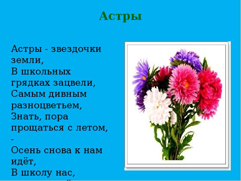 Цвети стих. Стихи о цветах для детей. Стихотворение про цветы. Стихи про цветы. Детские стихи про цветы.