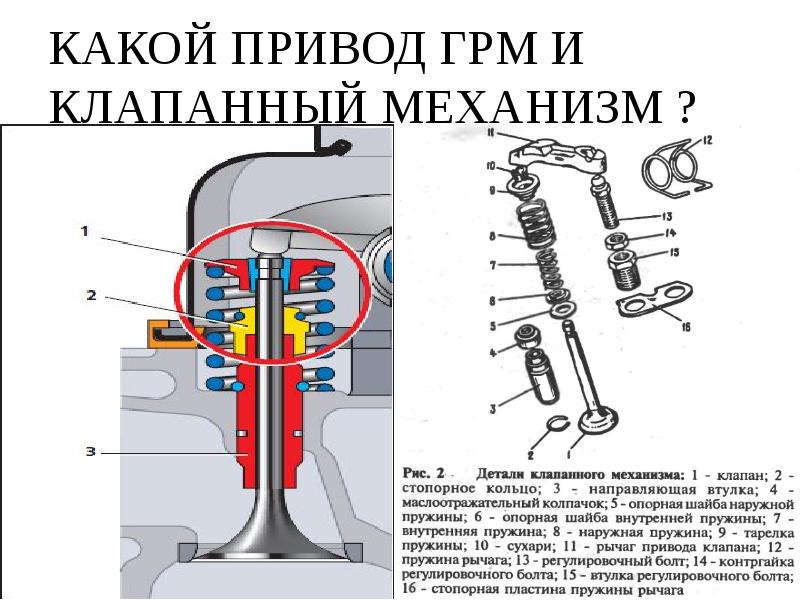 Устройство газораспределительного механизма презентация