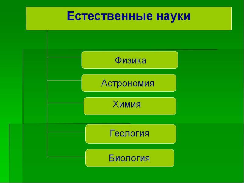 Естественные науки презентация