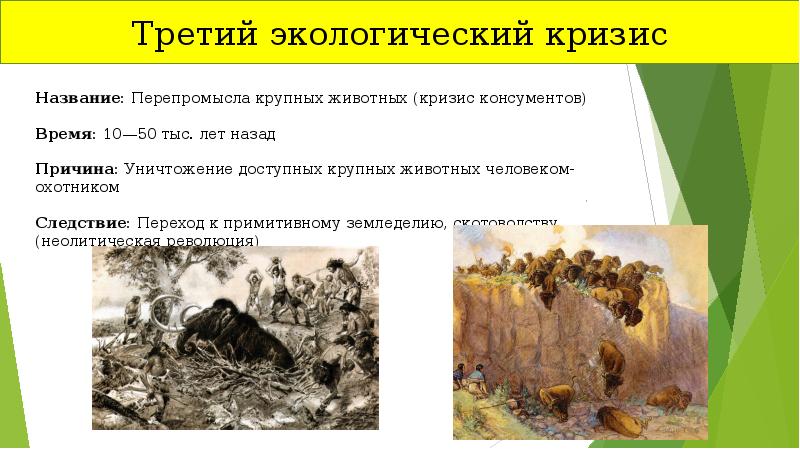 Кризис консументов