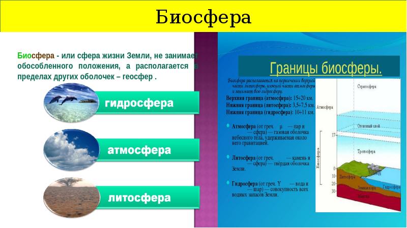 Взаимосвязь оболочек земли презентация