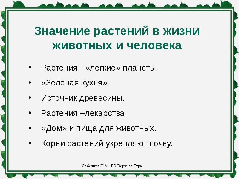 Проект охрана растений 6 класс биология