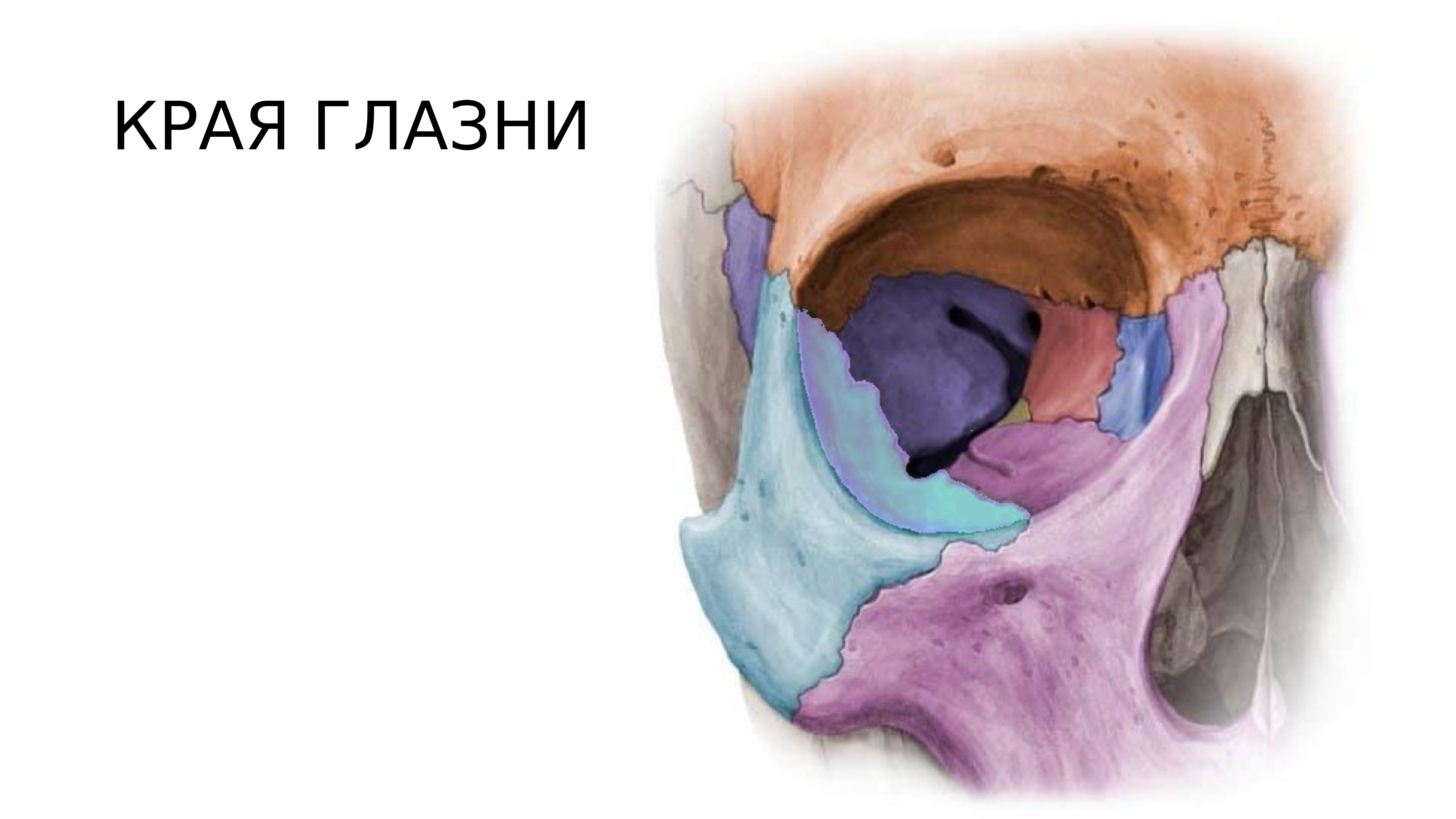 Глазница стенки отверстия