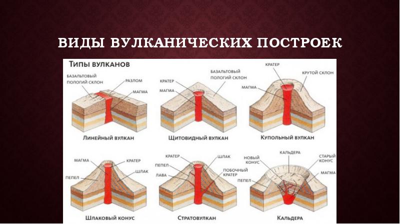 Эндогенные процессы презентация