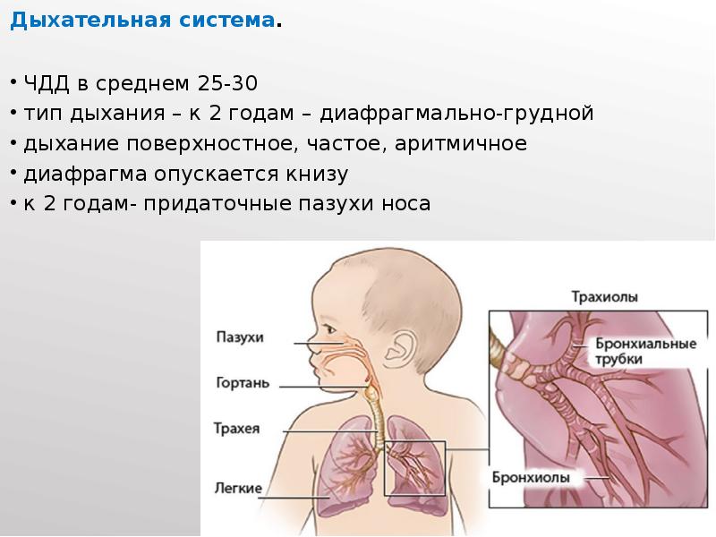 Период грудного возраста презентация