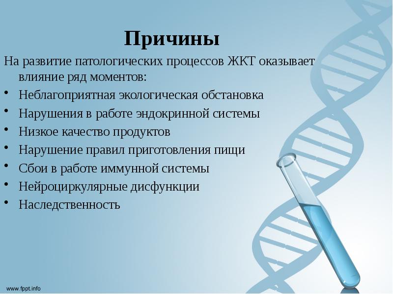 Система ниже. Роль в развитии патологических процессов заключение.