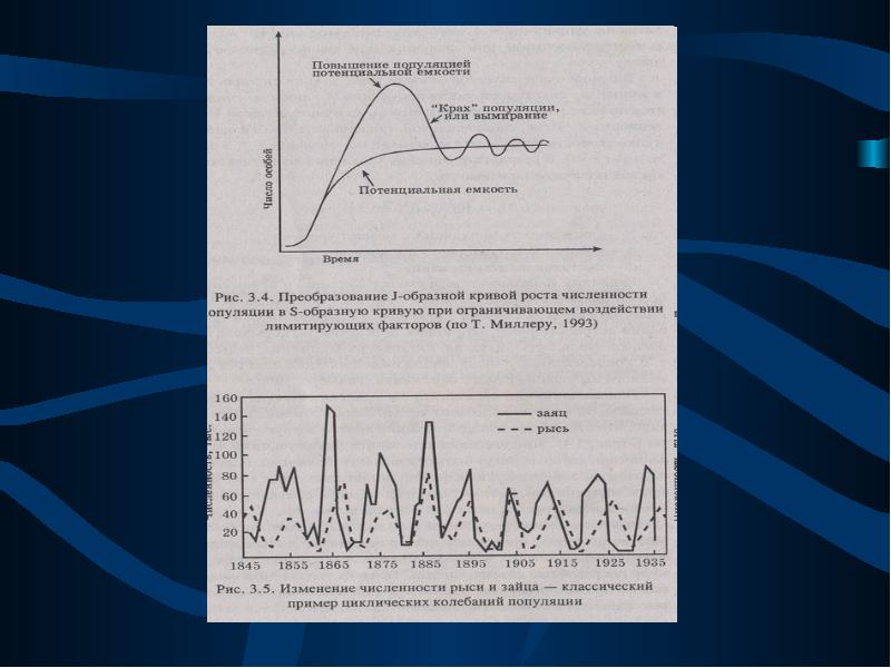 При увеличении численности популяции. Факторы вызывающие изменение численности популяции. Динамика численности популяции тема реферата. Модификация и регуляция популяций. Колебание и регуляция численности популяций.
