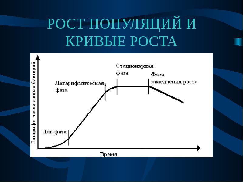 Кривая роста. Кривая роста и развития бактериальной популяции. Рост популяции и кривые роста. S образная кривая роста популяции.