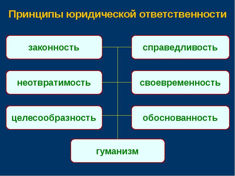 Принципы правового образования