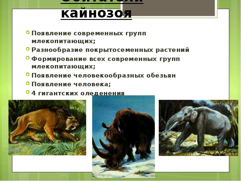 Группы млекопитающих 7. Разнообразие млекопитающих. Происхождение млекопитающих. Появление современных групп млекопитающих. Происхождение и многообразие млекопитающих.