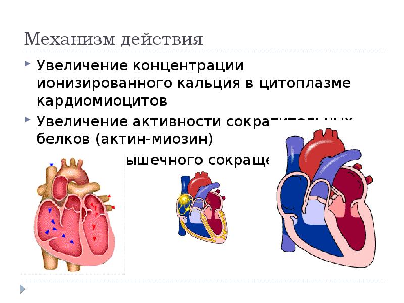 Средства влияющие на сердечно сосудистую систему презентация