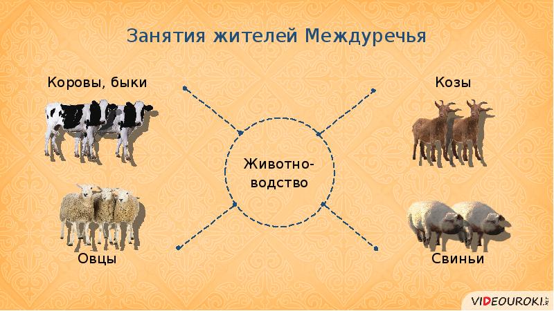 Занятия жителей древнего двуречья. Занятия жителей междуречья. Сравнительная таблица древний египет и древнее двуречье. Цивилизации древнего востока двуречье египет. Торговля в месопотамии.