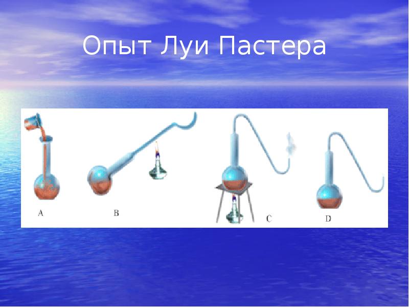 На рисунке показан опыт луи пастера какую теорию опроверг ученый этим опытом