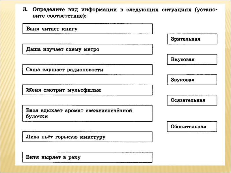 Определите вид информации фотография бабушки