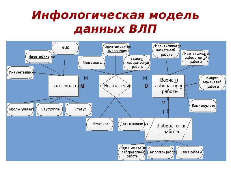 Инфологическая модель данных