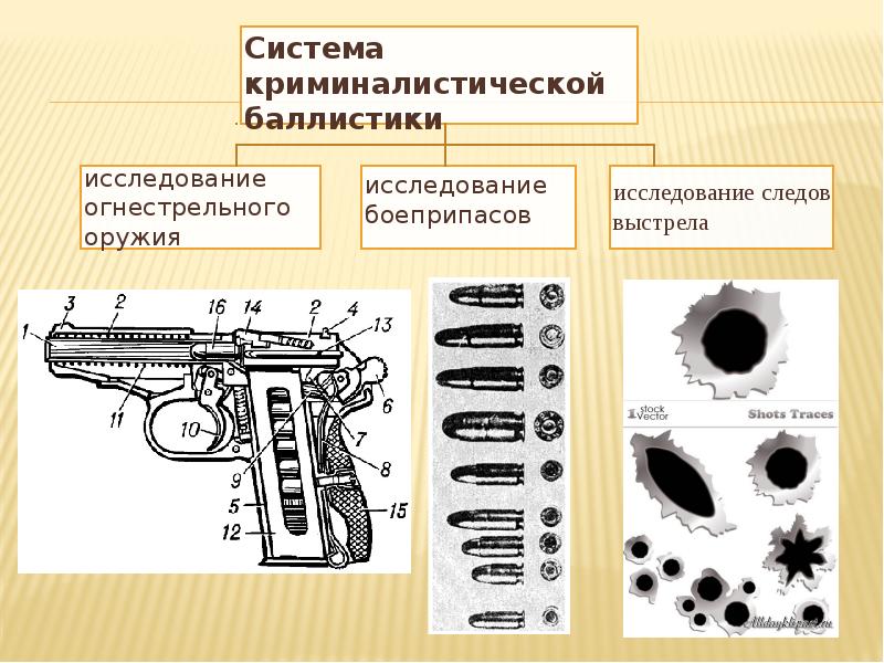 Криминалистическое оружиеведение презентация