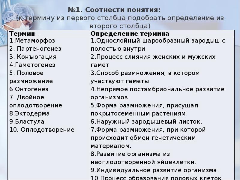 Термины по биологии