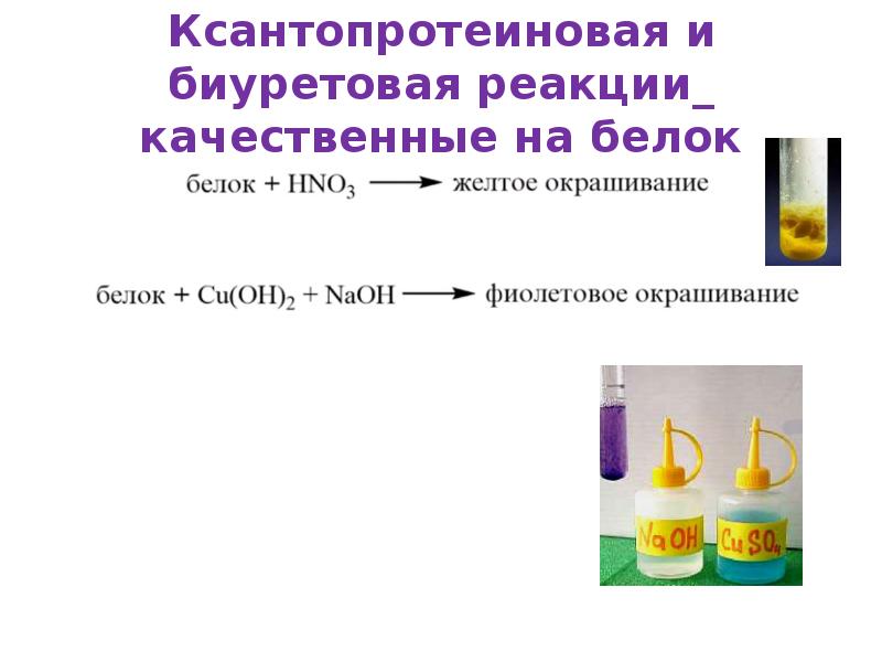 Биуретовая реакция на белки