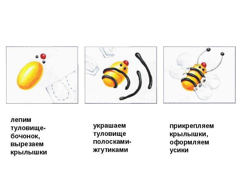 Лепка насекомые презентация