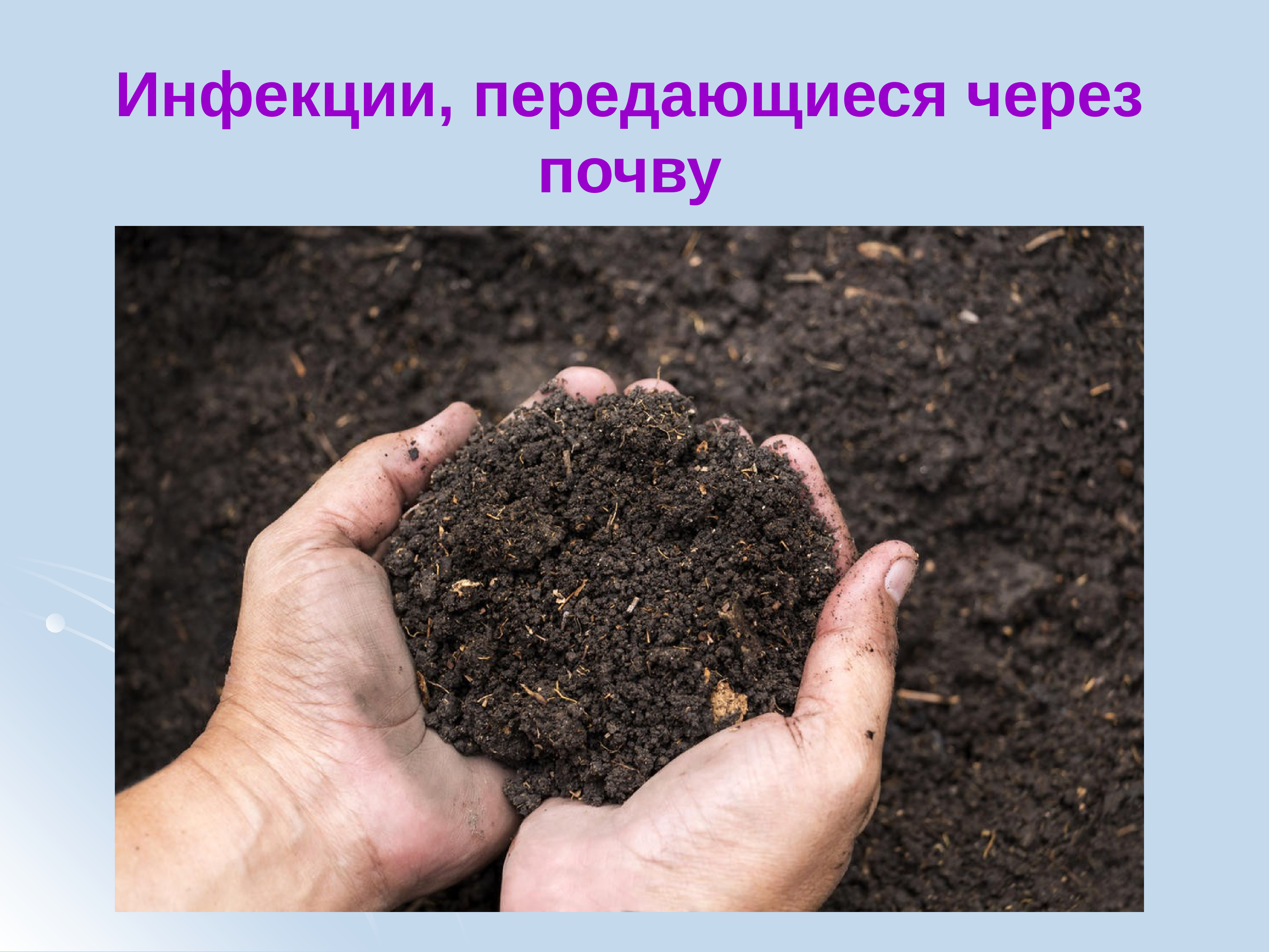Инфекции в почве. Инфекции передающиеся через почву. Заболевания передаваемые через почву. Почва источник инфекции. Через почв.
