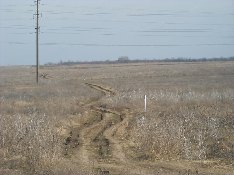 Почему в степях бывают сильные ветры