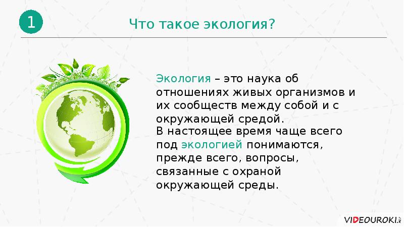 Презентация воздействие человека на природу 8 класс география презентация