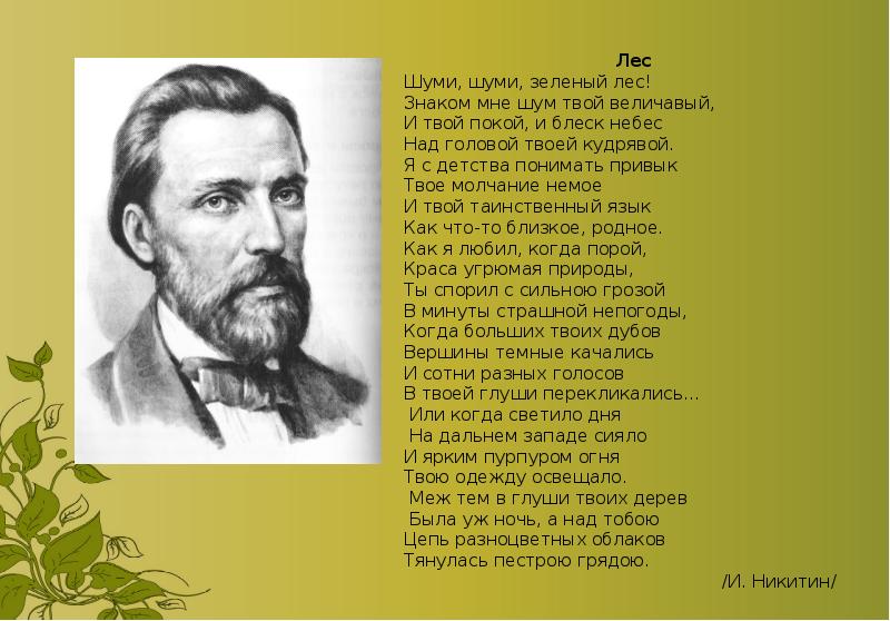 Шумел шумела шумело шумели стоял. Иван Никитин шуми шуми зеленый лес. Стихотворение шуми шуми зеленый лес. Стихотворение Ивана Никитина. Стих и. Никитина зашумела.