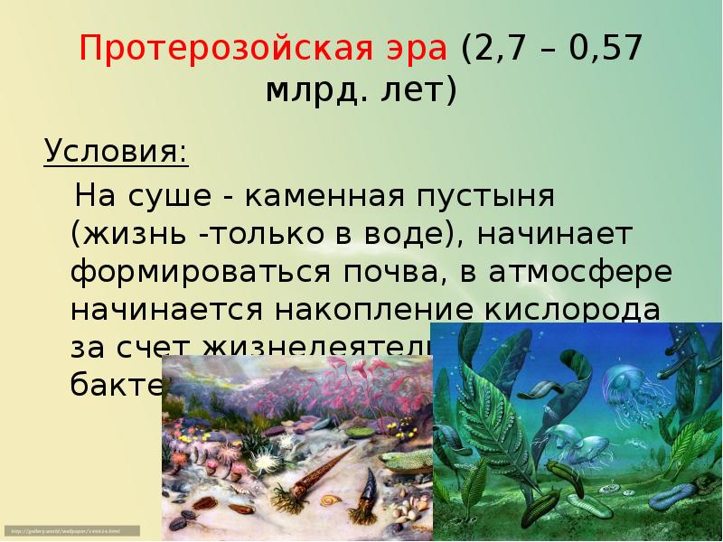 Презентация развитие жизни на земле по эрам 9 класс