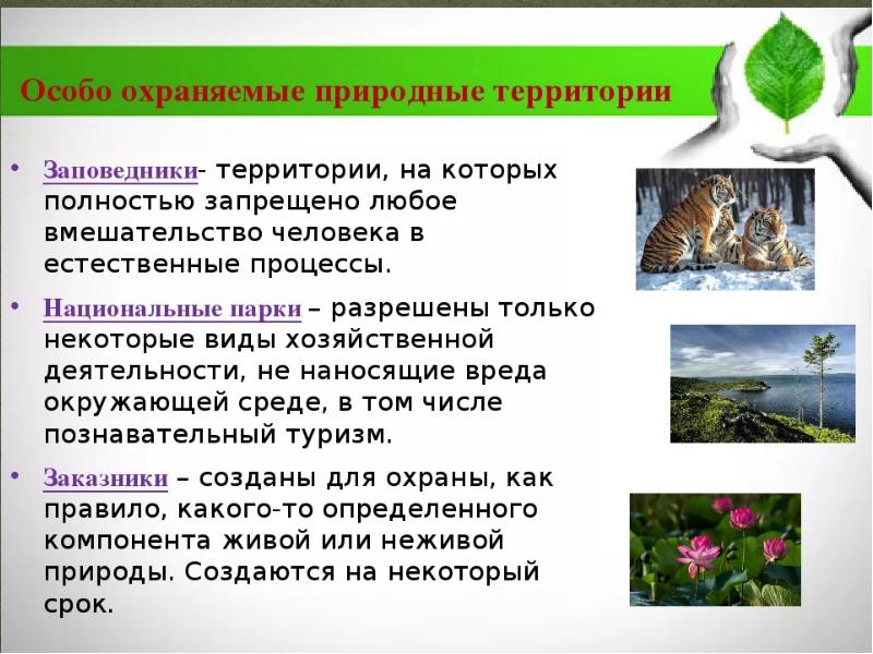 Уникальные в экологическом и эстетическом плане природные объекты разрешенные к посещению туристами