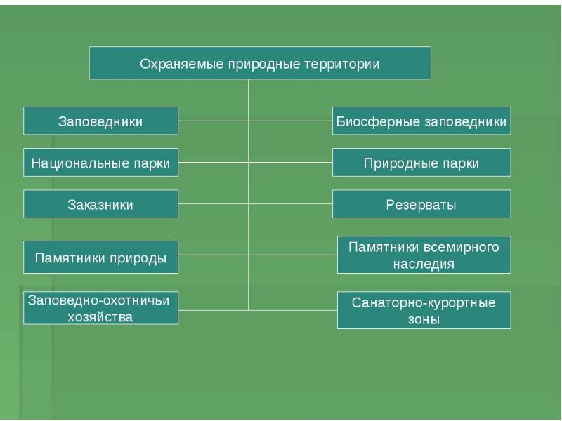 Природные объекты схема