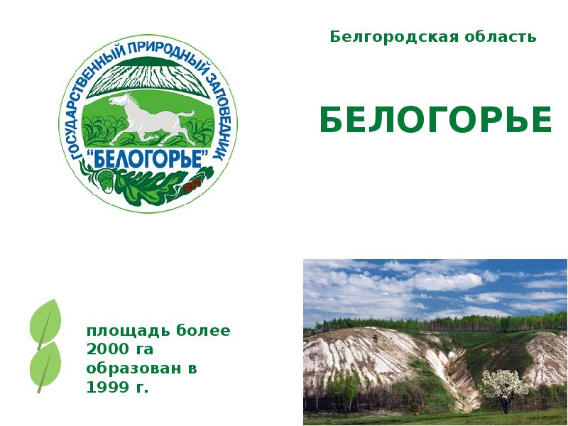 Родной Край Интернет Магазин Белгород