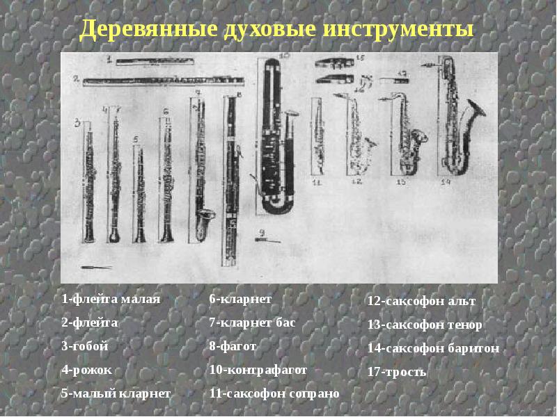 Духовые инструменты список и фото